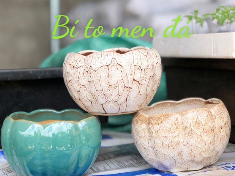 Chậu bí men đá